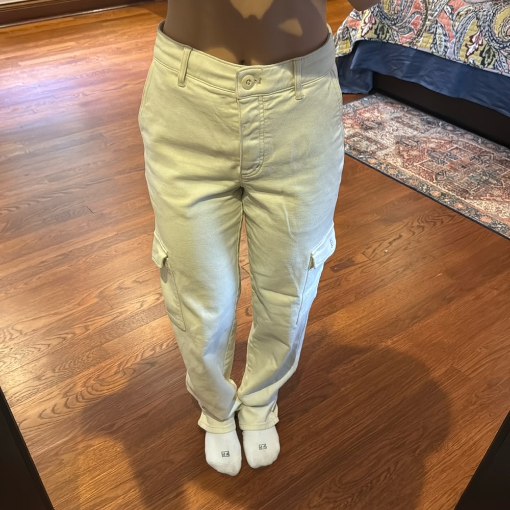 Aritzia Cargo Pants